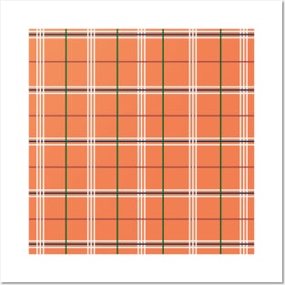 Tangerine Plaid Posters and Art